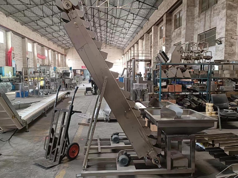 山東斗式提升機(jī)